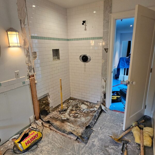 bathroom demolition near me oakville