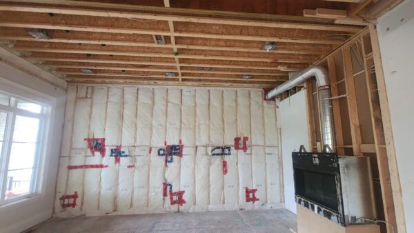 interior residential tear down project